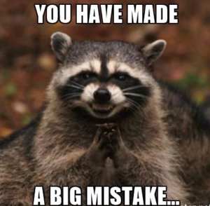 evil-raccoon-you-have-made-a-big-mistake-1-300x294.jpg
